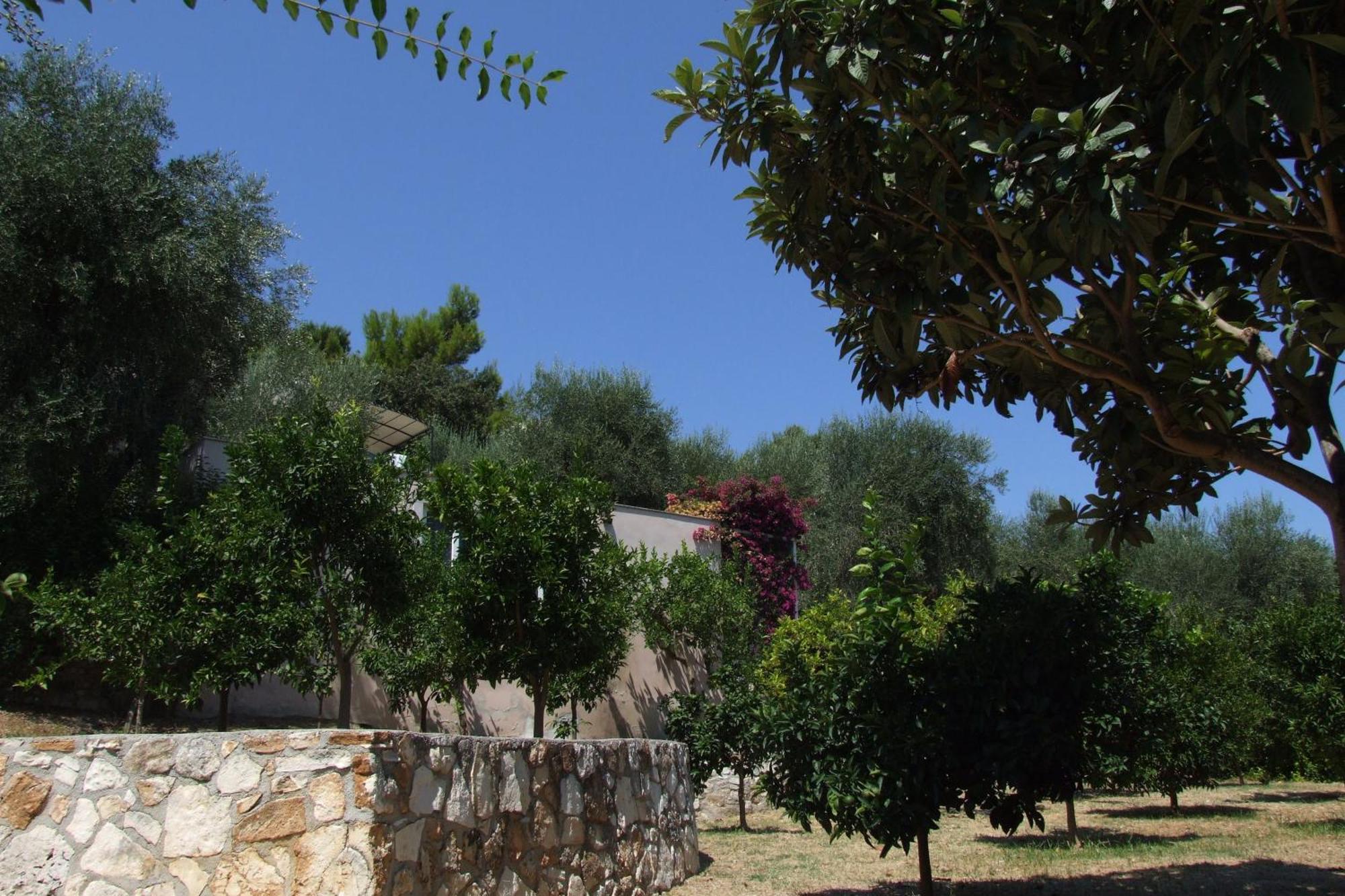 Villaggio Hotel Ripa Rodi Garganico Luaran gambar