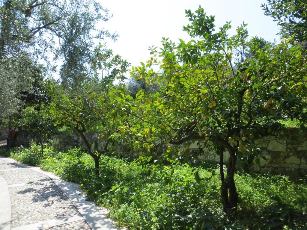 Villaggio Hotel Ripa Rodi Garganico Luaran gambar