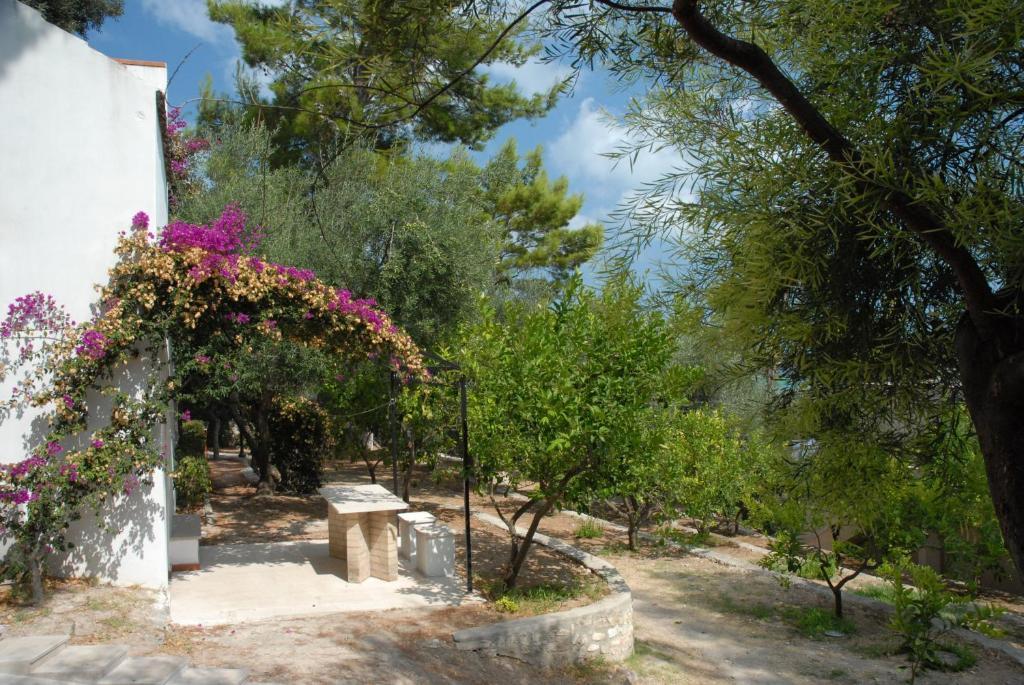 Villaggio Hotel Ripa Rodi Garganico Luaran gambar